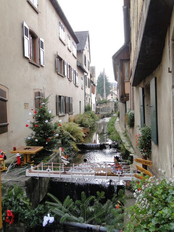 Le Loft A La Couronne Centre Ville De Barr Bagian luar foto